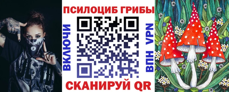площадка какой сайт Гвардейск Галлюциногенные грибы MAGIC MUSHROOMS hydra как зайти